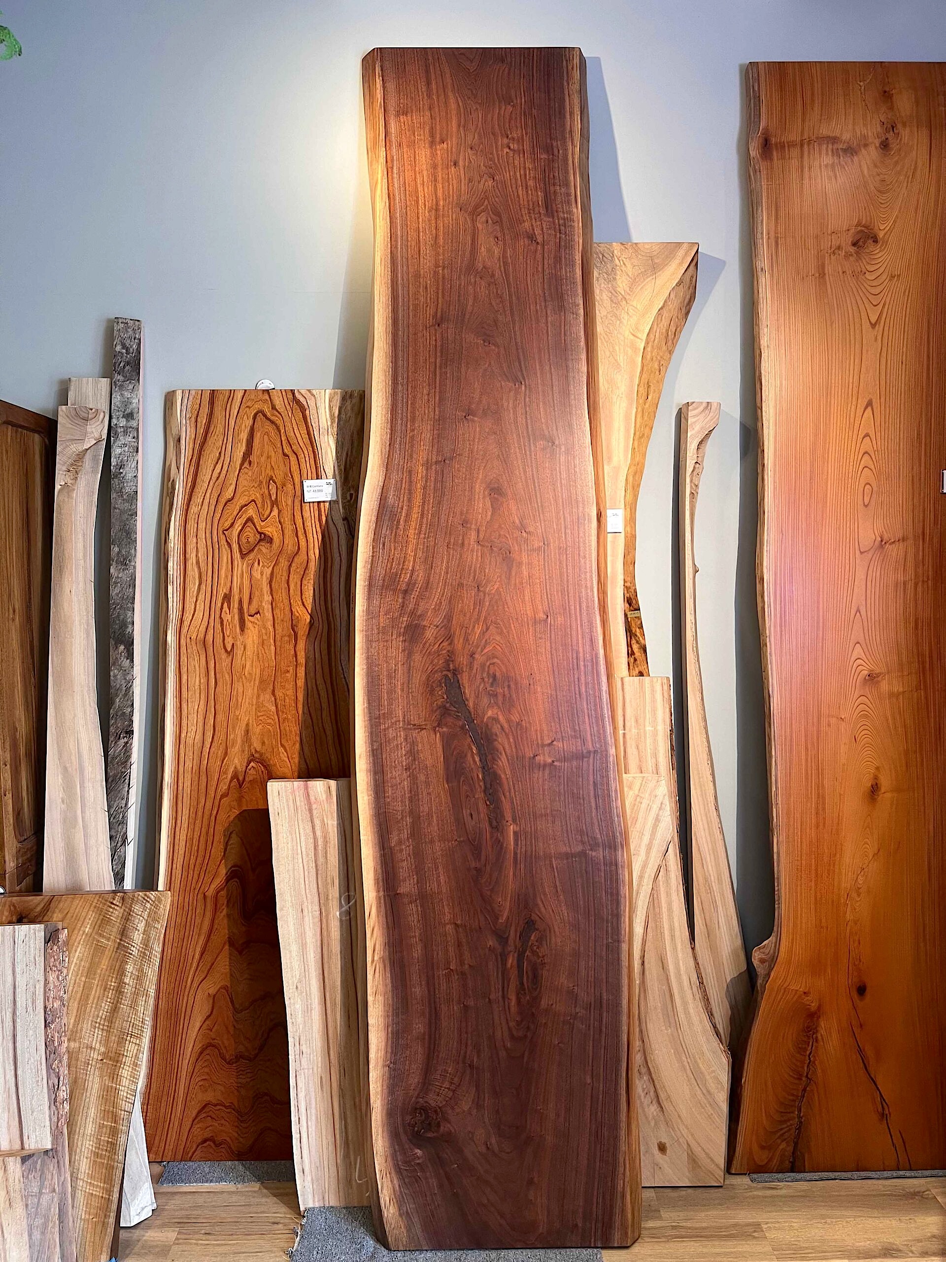 Tall timber slabs with varied grain, knots and natural edges leaning against a wall