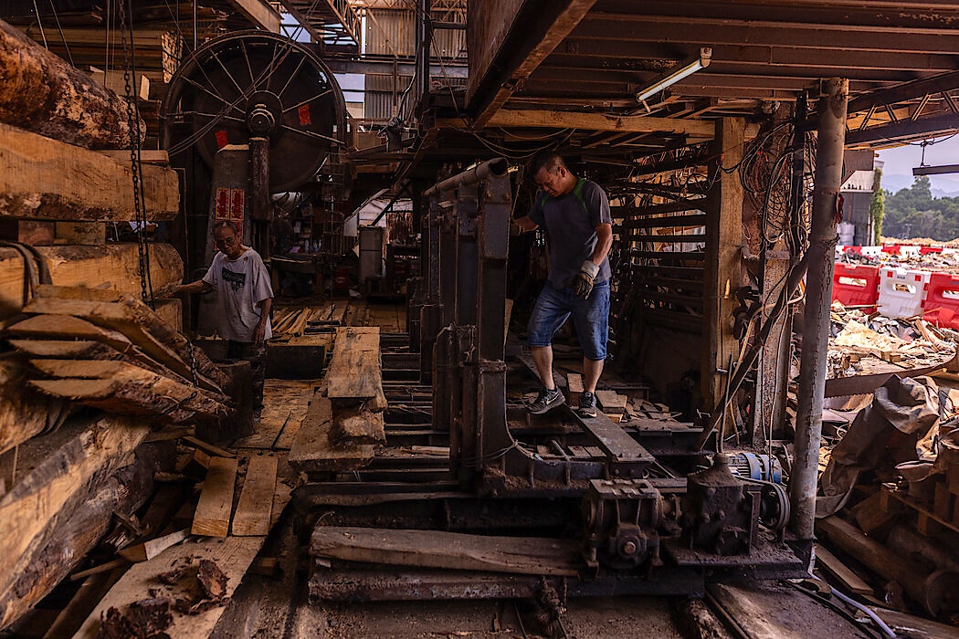 Workers beside large timber and cutting machinery inside a sawmill